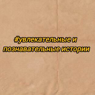 Увлекательные и познавательные истории