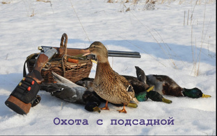 ОХОТА НА СЕЛЕЗНЯ С ПОДСАДНОЙ УТКОЙ!