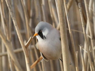 Поездки по России