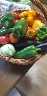 О не менее любимых баклажанах, перцах и других овощах