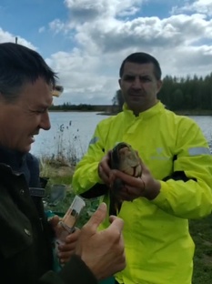 поймал золотую рыбку с золотым кольцом и бриллиантом вознаграждение 119 тысяч