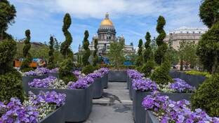 Петербург моими глазами