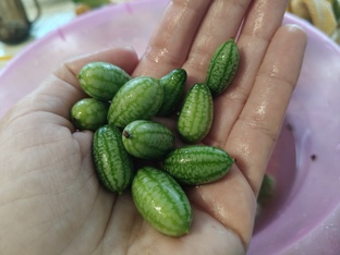 Интересные растения