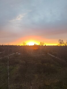 Политика и статистика 