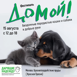 Фестиваль ДОМОЙ! 