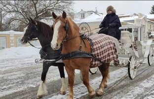 Путешествия