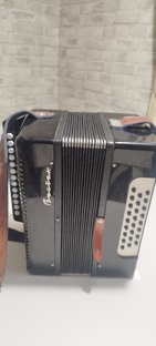 Играй гармонь