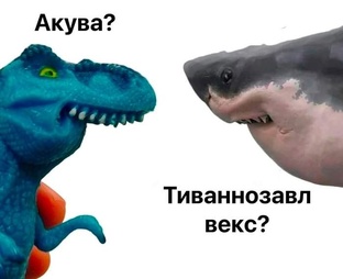 Звукопроисшествия