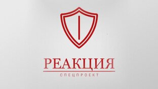 Спецпроект "Реакция" (новостная аналитика)