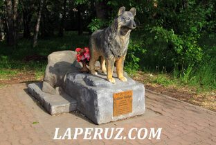 Хабаровский край