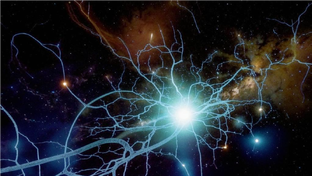 Параллельная вселенная