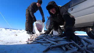 ЗИМНЯЯ РЫБАЛКА