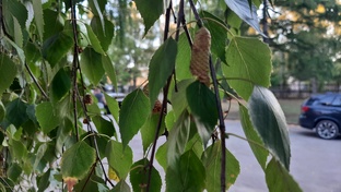 Хочу домой...😰