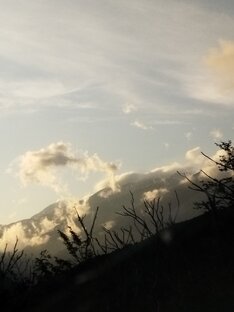 Альтернативная медицина 