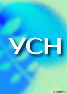 Всё об УСН: от выбора до отчетности