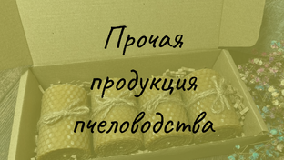 Прочая продукция пчеловодства