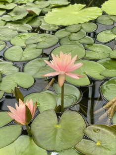 Куда сходить в Москве 