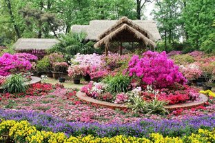 Секреты ухода