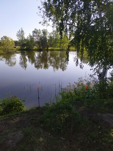 Статьи о ловле различных видов рыб