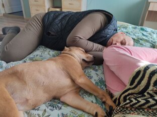 Обеденный сон