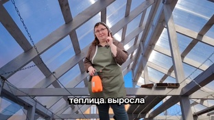 Теплица