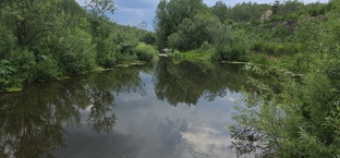 Заметки из жизни