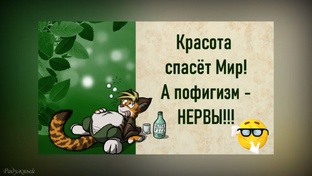 АНЕКДОТЫ, Шутки, Юмор