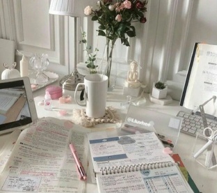 ~𝓼𝓬𝓱𝓸𝓸𝓵~