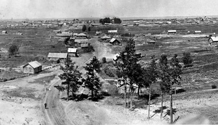 Стародубовы и Трубниковы (Тамбовская губерния)