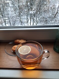 Зимние послания 