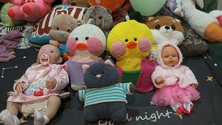 Влог с Уточками