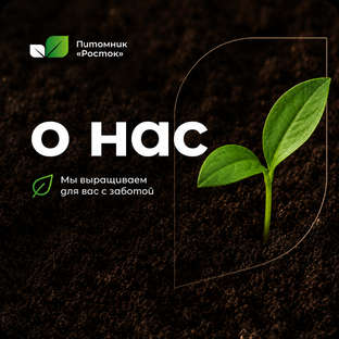 О НАС