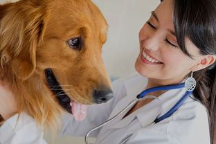 Профориентация