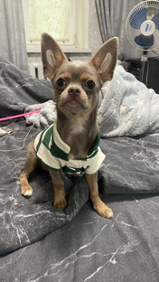 Популярное