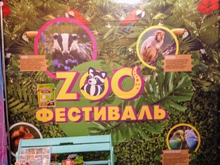 Выставка животных в ТРЦ «Премьер». Рязань