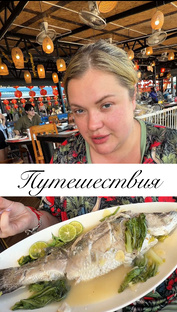 Путешествия 🧳 