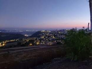 Балаганов пилит, Паниковский бережёт силы