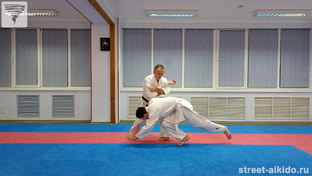 Ката-гатамэ