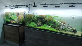 Аквариум 220 литров