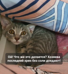 Экономика должна быть экономной!
