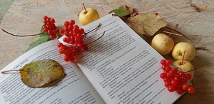 Книжный клуб