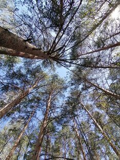 Фото природы. 