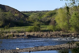 Немножко природы и отдыха.