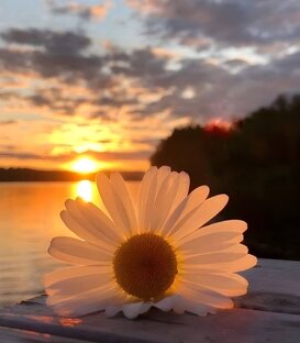 МОИ ПОЕЗДКИ И ПУТЕШЕСТВИЯ 