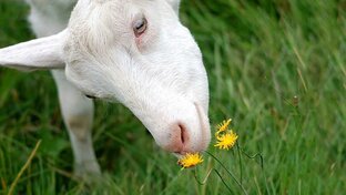 Наше хозяйство