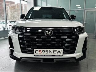 CS95NEW