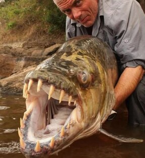 Что скрывают воды нашей планеты