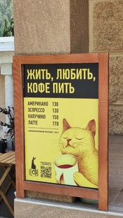 Котики о жизни (коты с озвучкой) 