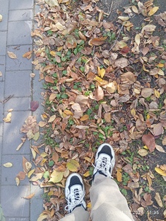 полёт мысли