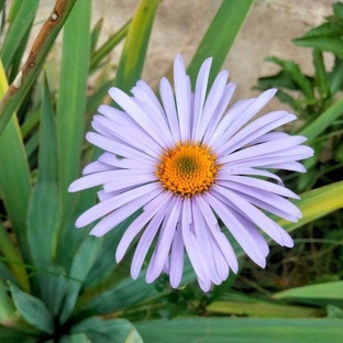 Мысли вслух. Личное